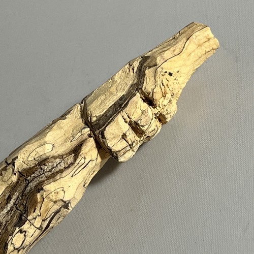 Unique Natural Hand Carved Face Driftwood Wand - Picture 2 of 6
