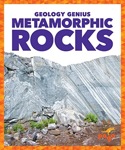 Metamorphic Rocks (Geology Genius). Pettiford 9781624968365 Free Shipping**