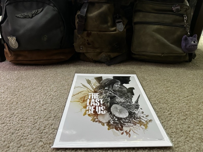 The Last of Us Print - TLoU 10th Anniversary Print - Artist Greg Ruth