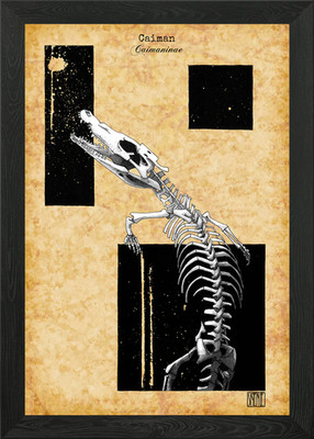 Gerahmtes Wandbild Kaiman Skelett Poster Leinwanddruck Bild