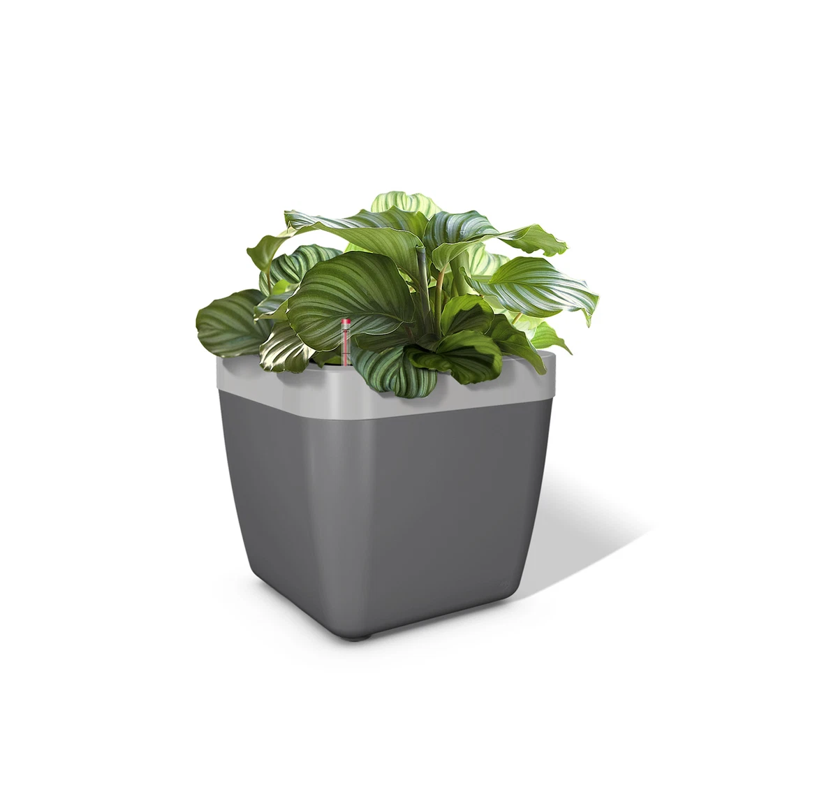 Emsa Blumenkasten online kaufen | eBay