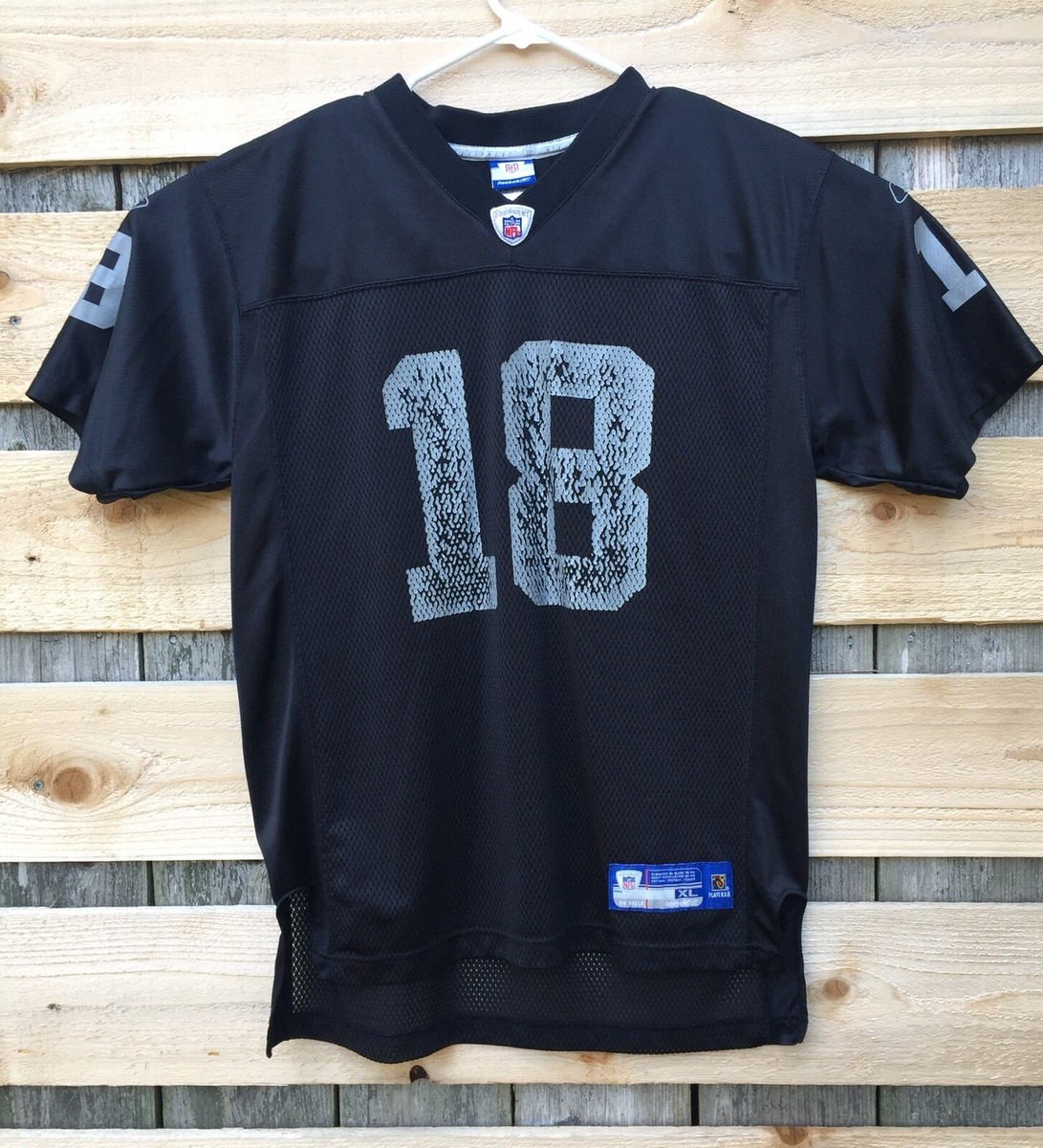 Randy Moss #18 NFL Oakland Raiders Reebok Jersey Size Youth XL | eBay