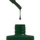 Afbeelding 582 van 778