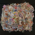 Foto 7 di 13