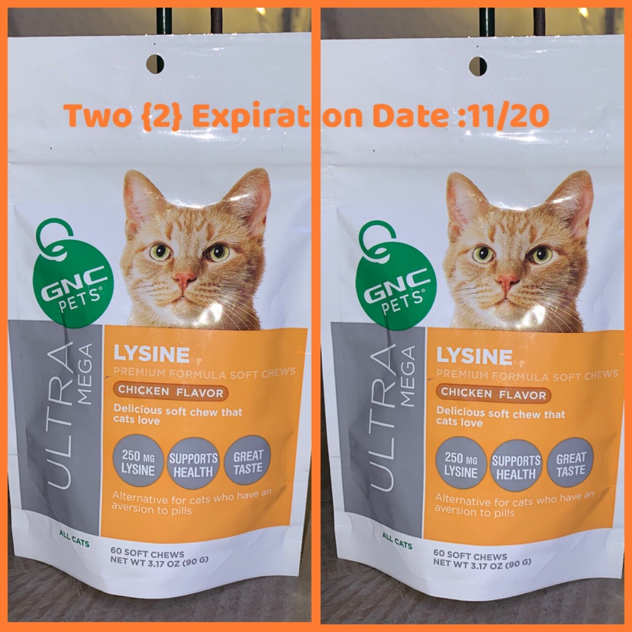 gnc probiotics for cats