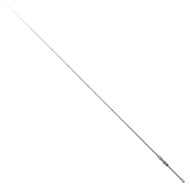 Tailwalk 24 AJIST TZ S66/SL Spinning Rod