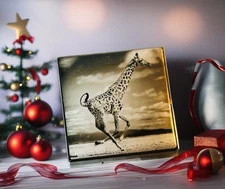 CHANTECAILLE Luminescent Eye Shade - GIRAFFE  New