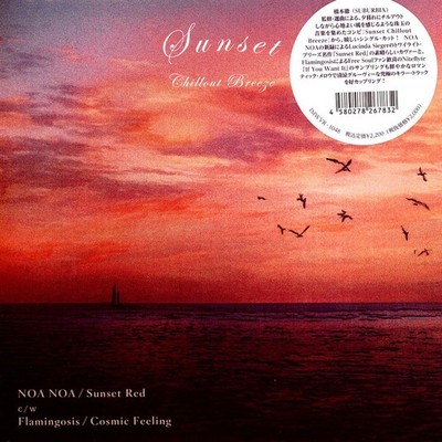Noa Noa / Flamingosis - Sunset Red / Cosmic Feeling (Vinyl 7'' - JP)