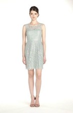 NWOT  shade  Jenny Yoo  Women's 'Harlow Lyon' metallic Lace dress size 10