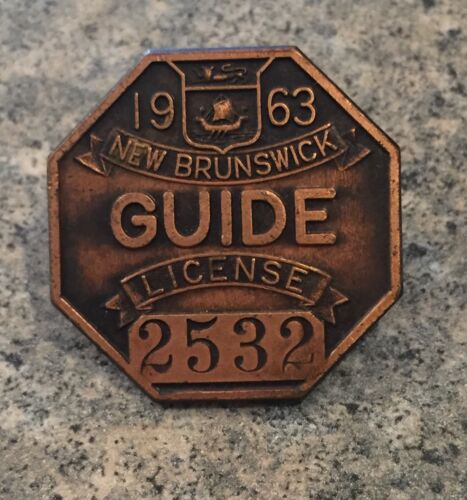 Rare Vintage New Brunswick Canadian Coat Of Arms Guide License Lapel Pin Badge - Photo 1 sur 6