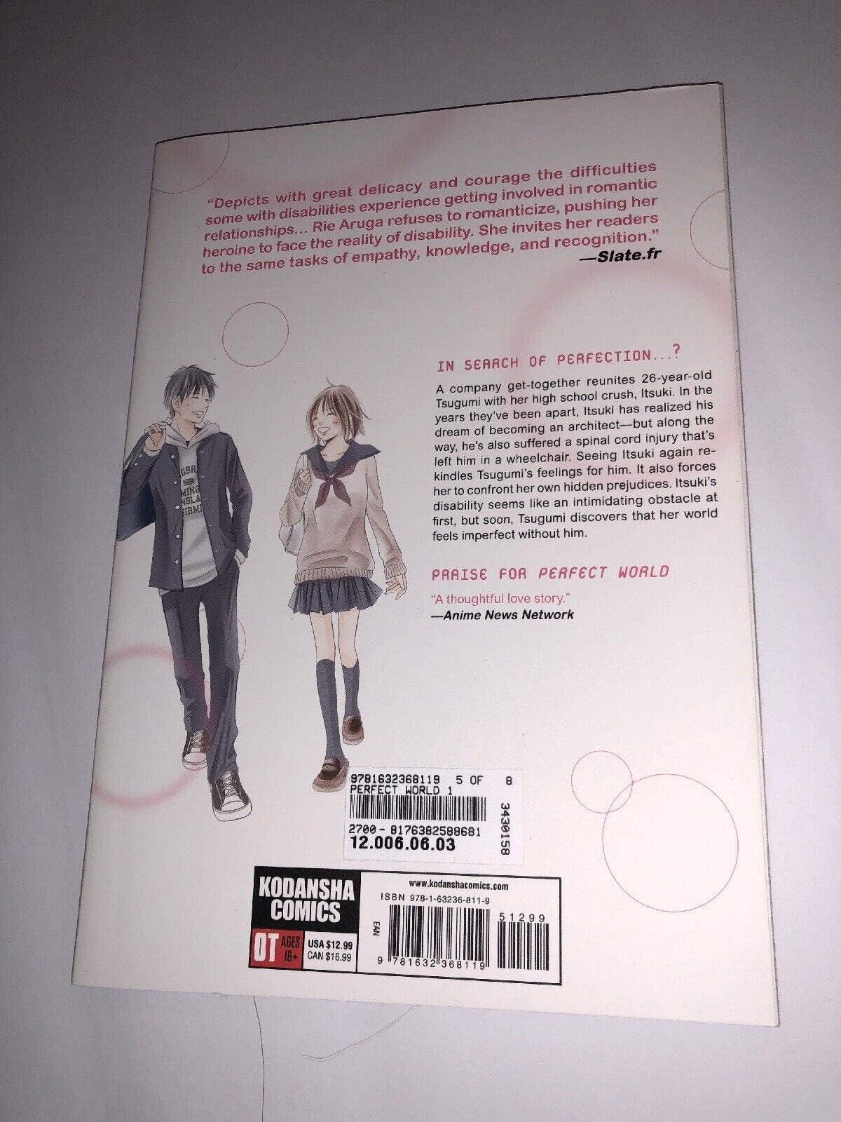 Perfect World 1: Aruga, Rie: 9781632368119: : Books