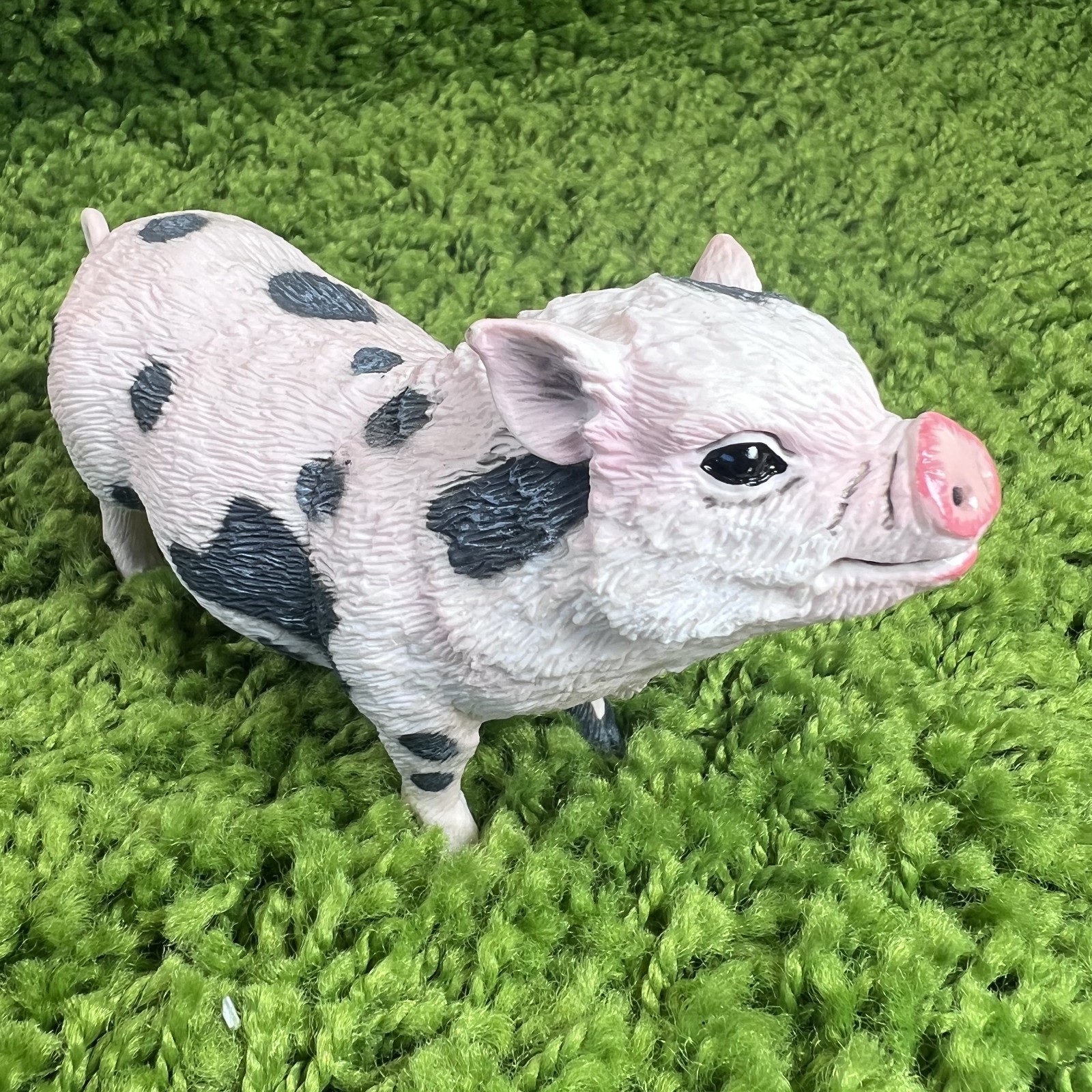 Safari LTD Pot Bellied Pig Figurine Realistic 5 Inch Plastic Model Figure Toys