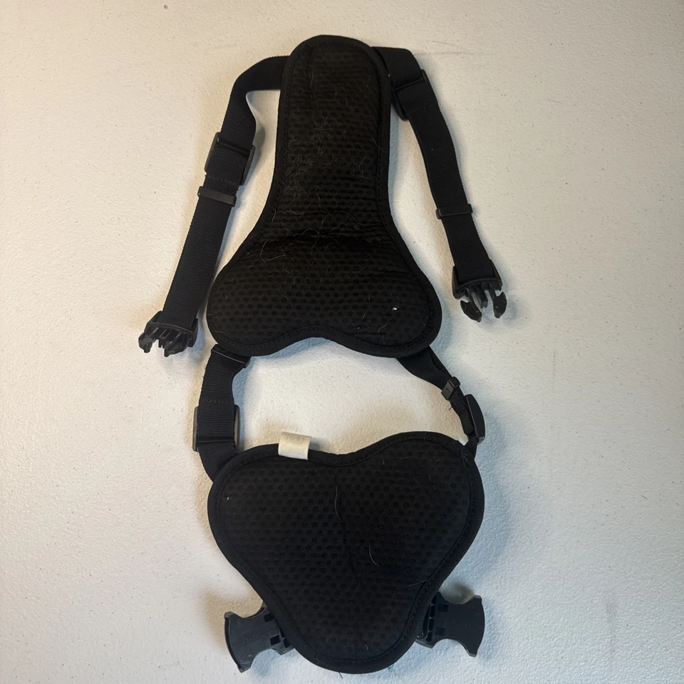 Arnés Coastal grande para perro color azul bebé Foto 2 de 3