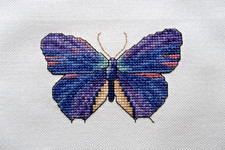 COMPLETED FINISHED CROSS STITCH: BUTTERFLY