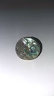 Genuine Natural Abalone Shell Sterling Silver 925 Coin Ring SIZE 7  — photo 9