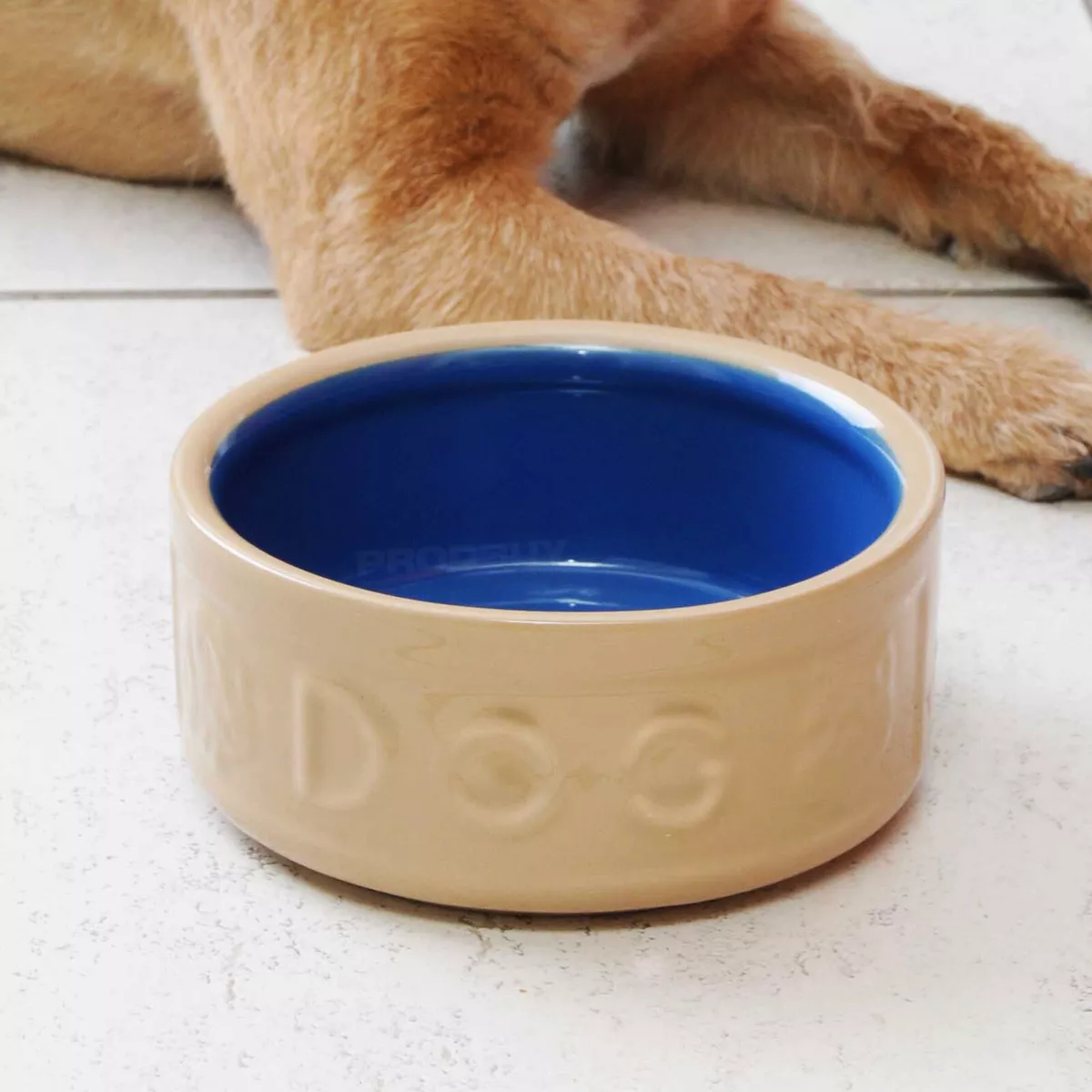 Blue ceramic best sale dog bowl