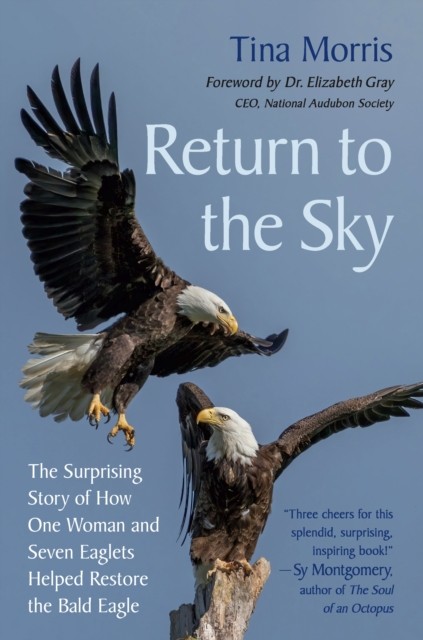Return to the Sky by Tina Morris (Hardback Book)