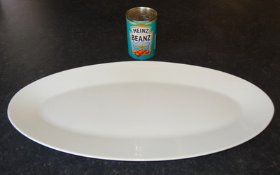 WEDGWOOD JASPIS CONRAN WEISS XL GROSS OVAL BONE CHINA SERVIERPLATTE SCHALE 50 CM