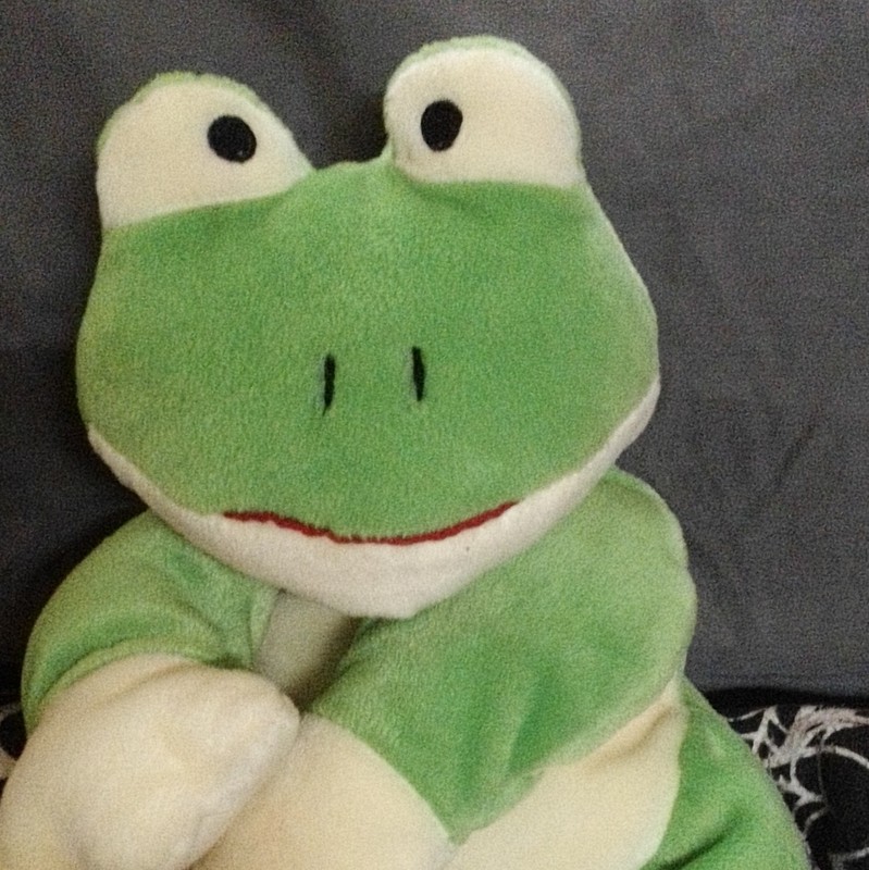 Ty The Pillow Pals Collection Ribbit Frog Plush Toy 1996 Ages 3-7 Years 3-4 4-7