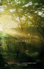 When The Sun Turns Green by Jane McKie (Paperback, 2009)