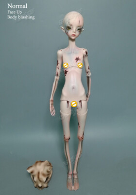 BJD 1/4 Doll Girl The Hermit IX Resin Free Eyes Figure Toys
