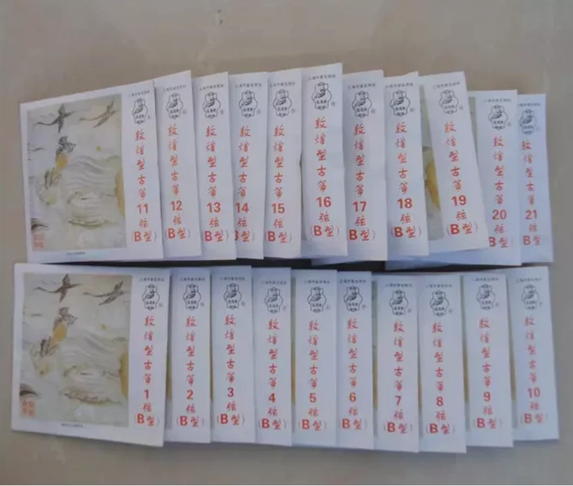 Guzheng B string standard strings Germany with steel core 1-21 sets strings - Image 3 of 4