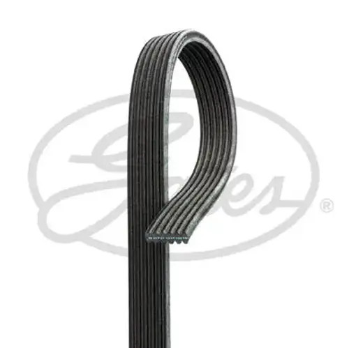 Correa trapezoidal acanalada 6DPK1838 GATES para VOLVO S40 I V40 Station Wagon - Imagen 1 de 2