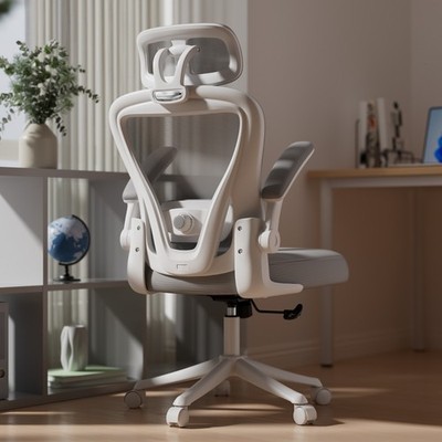 Office Desk Chair with Lumbar Support Computer Chair with Adjustable Armrest