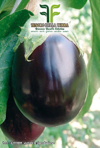 Buste di semi di ortaggi verdure e legumi vari (Vasta Scelta) - Foto 89 di 90