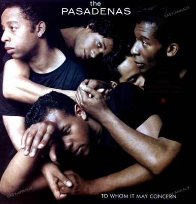 The Pasadenas - To Whom It May Concern LP (VG/VG) ..*
