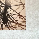 Bild 2 von 6