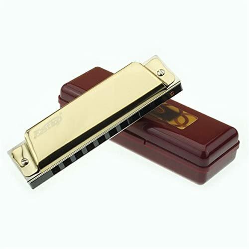 EASTTOP 10hole Diatonic Harmonica Key of C Blues Harp Professional Birthday Gift - Imagen 2 de 9