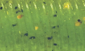 Artificiale spinning Herakles R-SNAKE 5.5" creatura salata scent soft bait - Immagine 3 di 4