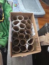 20 Empty Toilet Paper Rolls
