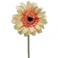 Kunstblume Gerbera FüR Dekoration Und Gestecke
