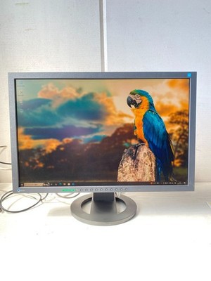 EIZO FlexScan S2243W 22 Zoll WUXGA LCD Monitor DVI DisplayPort blendfrei