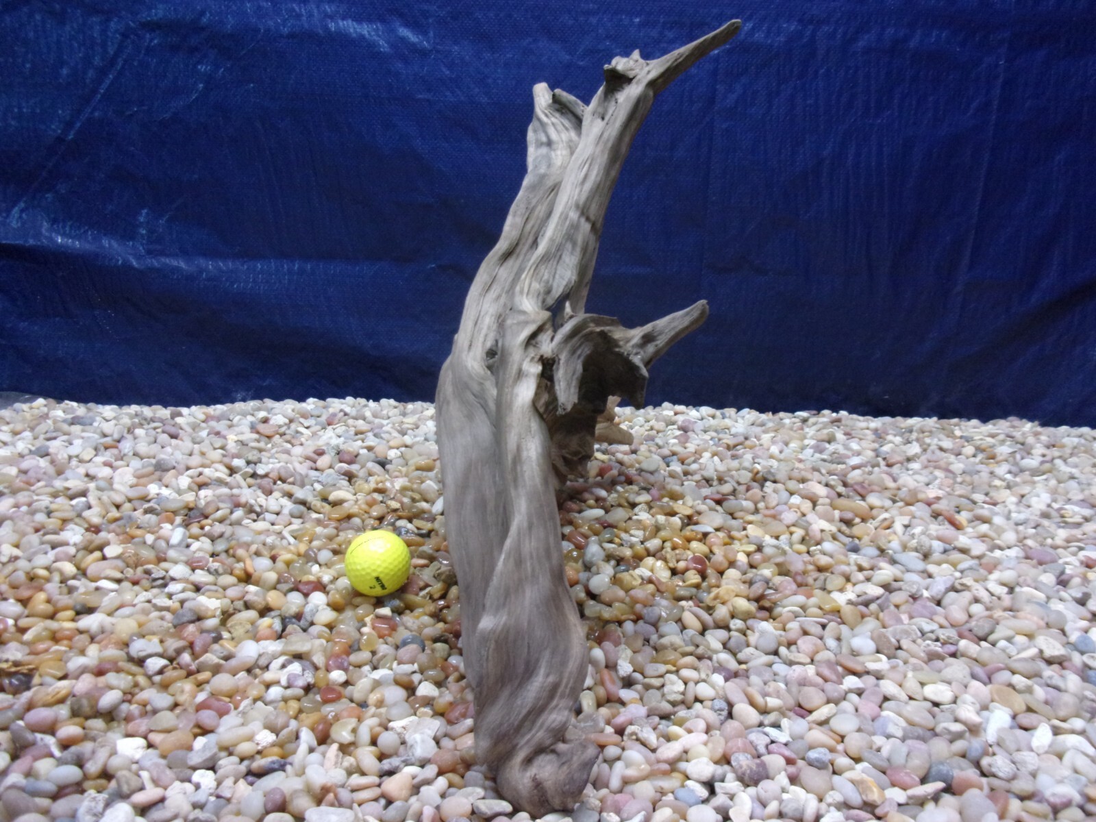 Bild 8 von 10