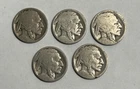 Lot of 5 Buffalo Nickels No Dates - No Reserve Auction