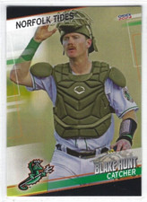 2024 Norfolk Tides (Triple-A Baltimore Orioles) Blake Hunt