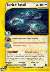 Buried Fossil 47/144 Skyridge