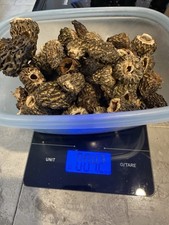4oz N E Oregon dried morel mushrooms