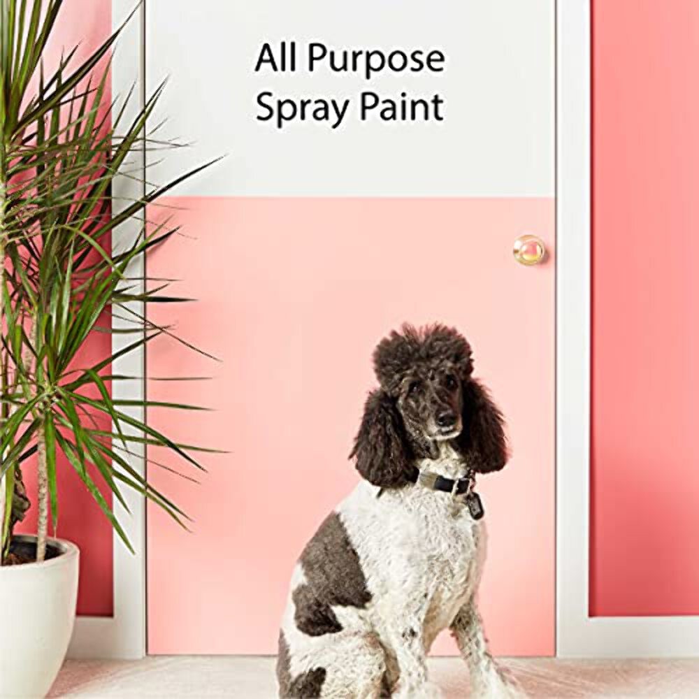 12 oz Krylon K05557007 Black COLORmaxx Paint & Primer Spray Paint, Satin