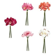 Moisturizing Realistic Artificial Cymbidium Forever Preserved Long Stem for