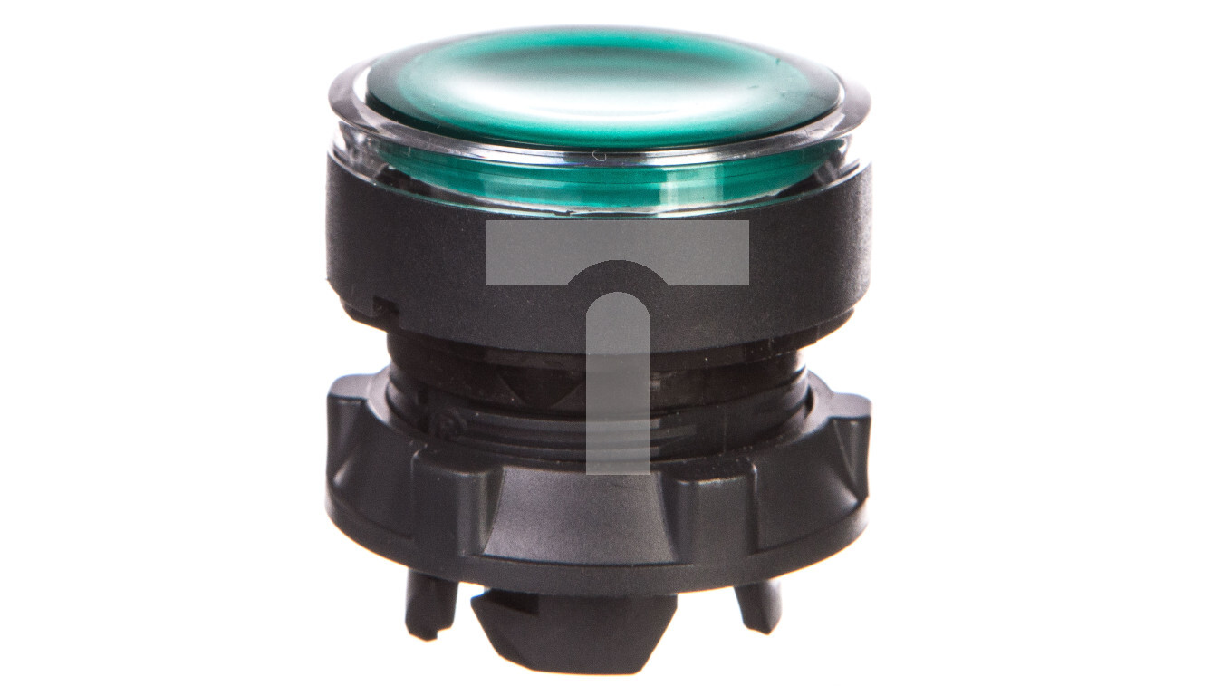 Button head indoor green backlight O22 push-push zing. LED ZB5AH033 /T2UK