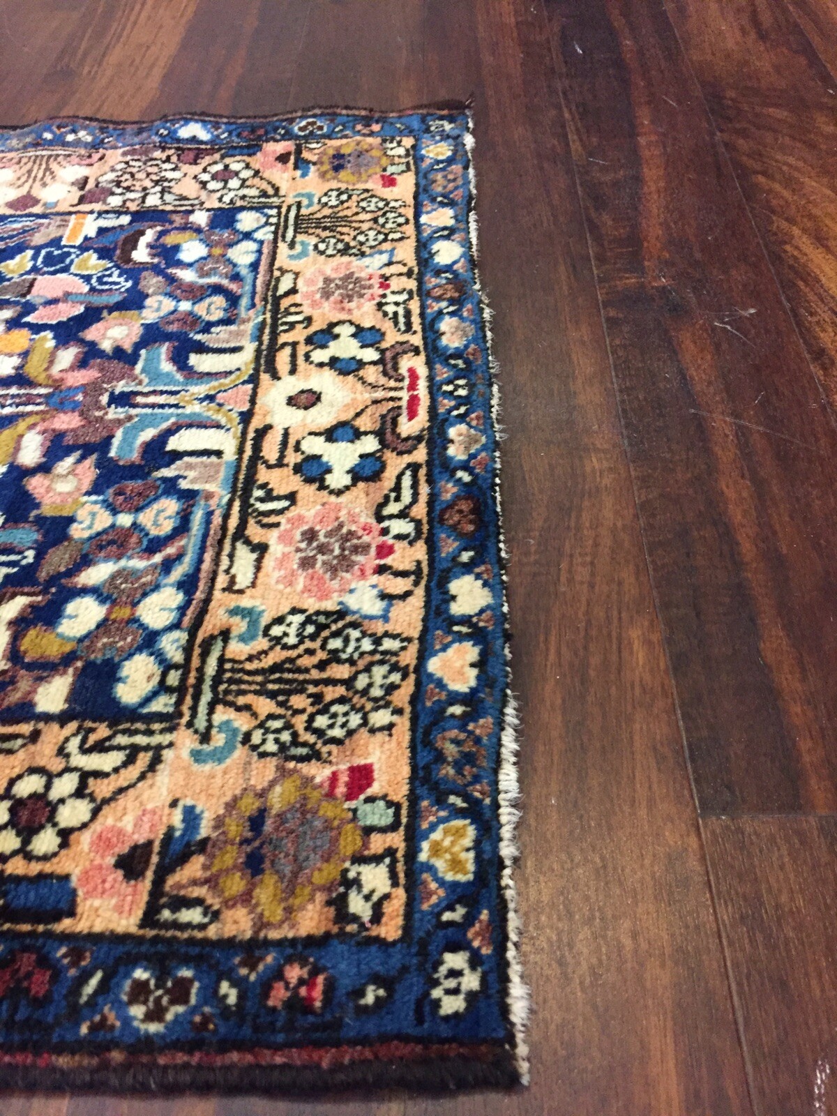 Picture 11 of 12