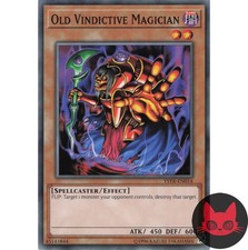 Yugioh Alter Rachsüchtiger Magier YSYR-DE014 Common NM