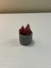 Zuru Mini Brands Garden Collection Succulent