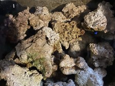 Sump rubble Marine Reef Cured Natural Rock Aquarium Coral Scape Filtration