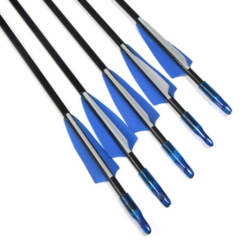 Tiro con arco 31.5 '' flechas de fibra de vidrio para cazar y practicar - Imagen 8 de 11