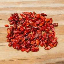 Semillas de pimiento de chile piquín silvestre (Capsicum annuum) chile picante chile chiltepin